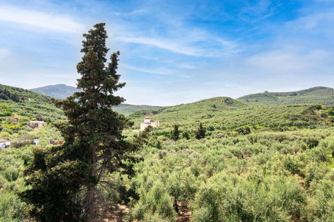 Achilleas Deluxe Αpartment -Pet Friendly-Parking-Mountain View Villa Kotsiana Luaran gambar