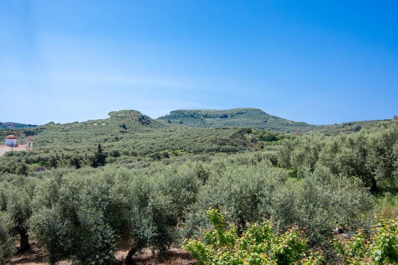 Achilleas Deluxe Αpartment -Pet Friendly-Parking-Mountain View Villa Kotsiana Luaran gambar