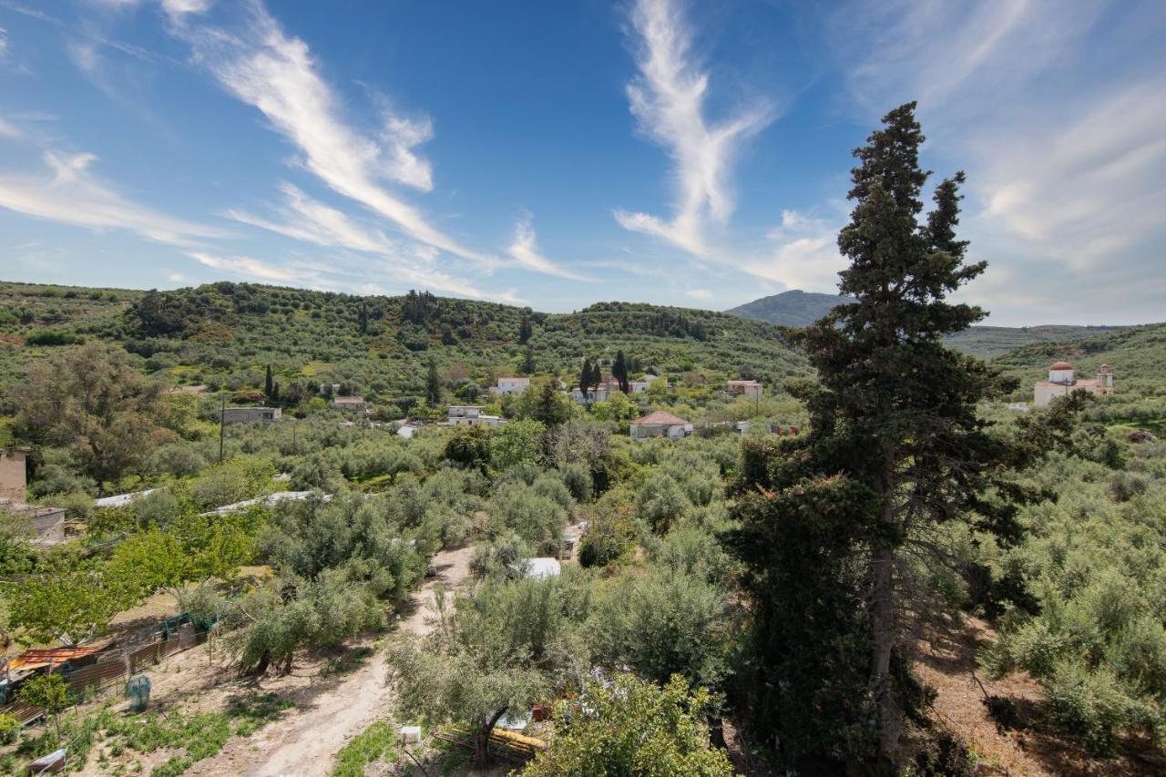 Achilleas Deluxe Αpartment -Pet Friendly-Parking-Mountain View Villa Kotsiana Luaran gambar