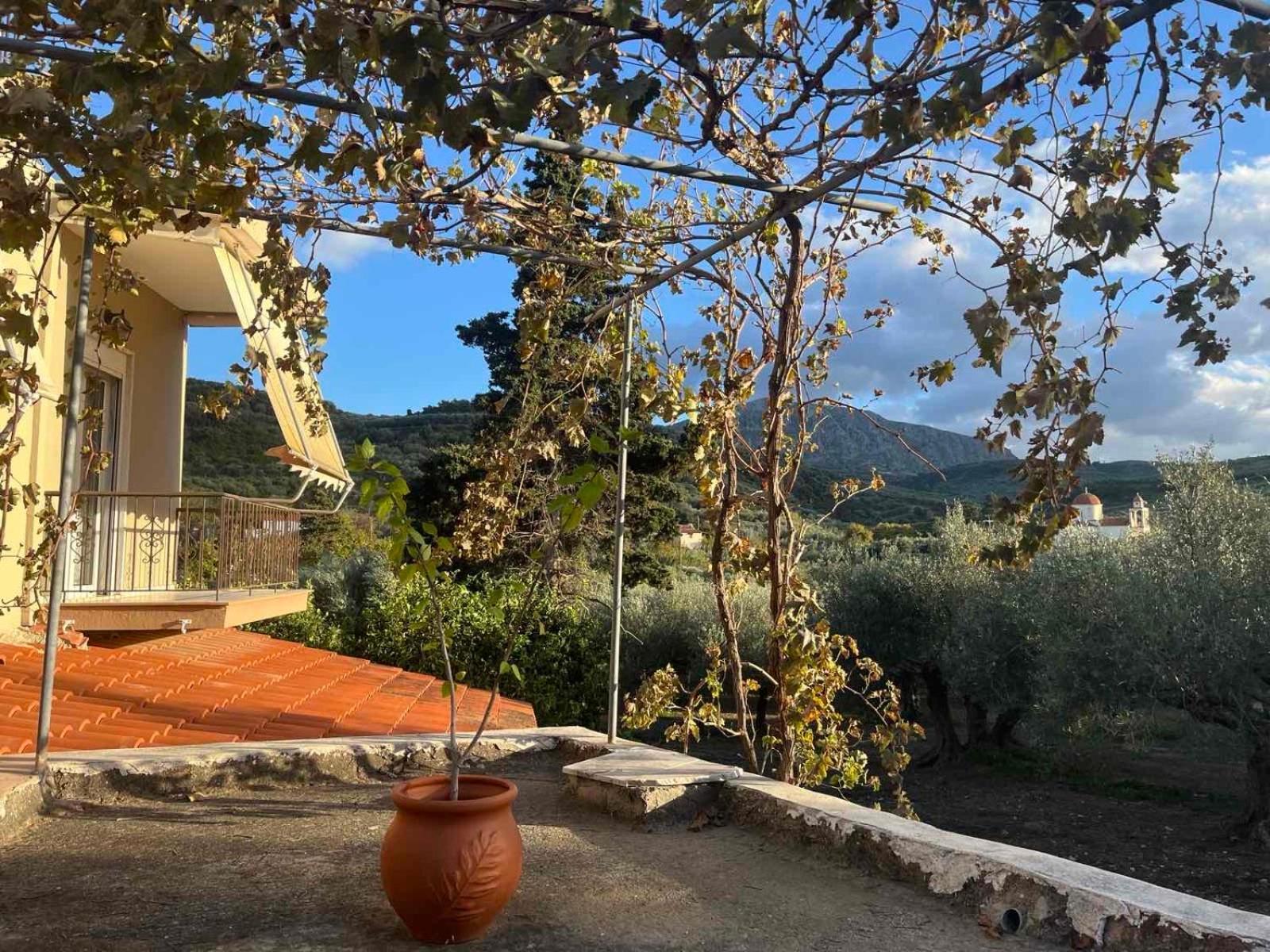 Achilleas Deluxe Αpartment -Pet Friendly-Parking-Mountain View Villa Kotsiana Luaran gambar