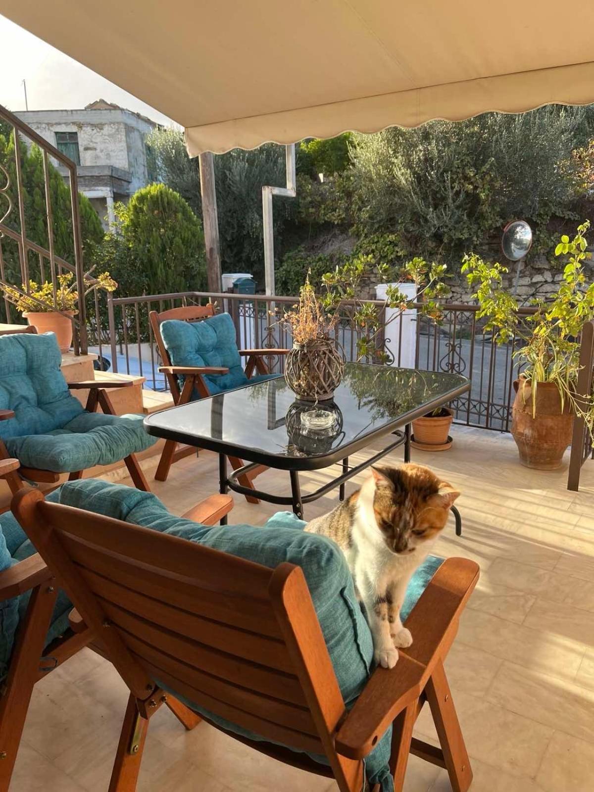 Achilleas Deluxe Αpartment -Pet Friendly-Parking-Mountain View Villa Kotsiana Luaran gambar