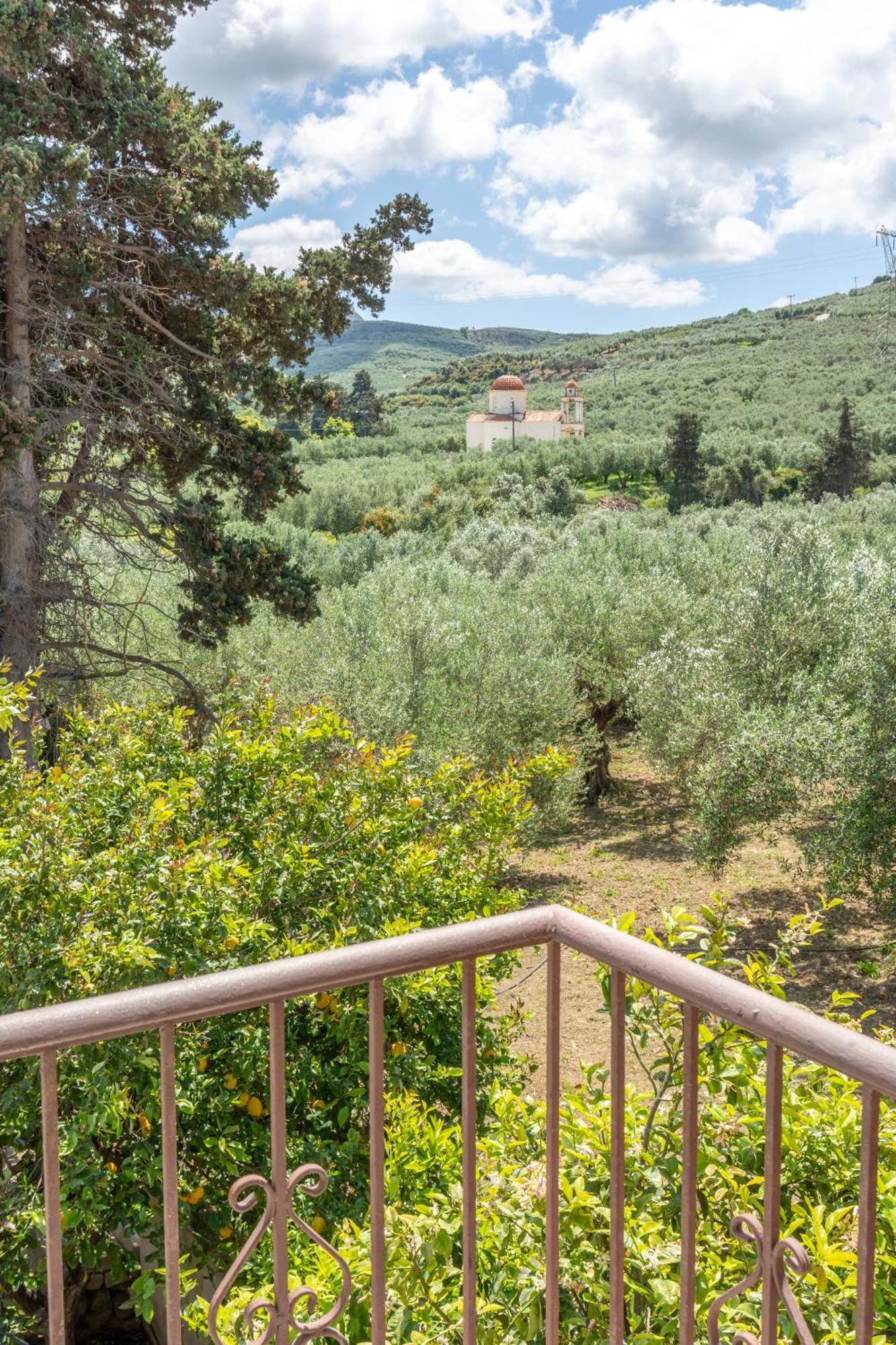 Achilleas Deluxe Αpartment -Pet Friendly-Parking-Mountain View Villa Kotsiana Luaran gambar
